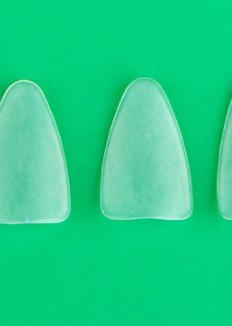 琵琶 專用指甲 套裝