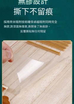 中阮 琵琶 柳琴 耐磨 琴面護板 保護貼