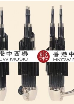 CS 17簧 細斗D調 笙