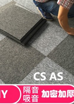 CS-AS 隔音地毯 加厚 減震 隔音墊 吸音地墊 50CMX50CM  (10mm厚) 