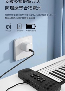 CS BR 61鍵手捲琴 電腦MIDI 電子琴 Rolling piano