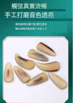古箏專用 黃花牛角 指甲 套裝 凹槽款
