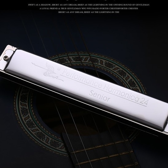 SWAN 天鵝牌 24 孔 高級複音 口琴 Harmonica