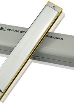 SWAN 天鵝牌 28 孔 高級複音重音 口琴 Harmonica