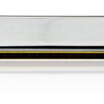SWAN 天鵝牌 28 孔 高級複音重音 口琴 Harmonica