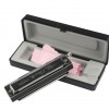 SWAN 天鵝牌 SW1040 10孔40音 半音階口琴 Harmonica
