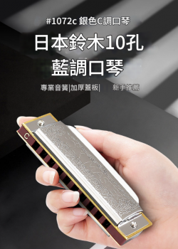 SUZUKI 10孔 藍調口琴 Harmonica
