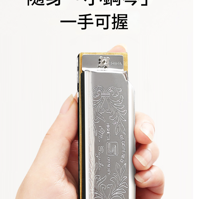 SUZUKI 10孔 藍調口琴 Harmonica