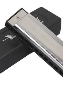 SWAN 天鵝牌 10孔 口琴 Harmonica