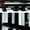 SWAN 天鵝牌 24 孔 高級複音 口琴 12調套裝 Harmonica 一套12個