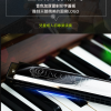 SWAN 天鵝牌 24 孔 高級複音 口琴 12調套裝 Harmonica 一套12個