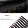 SWAN 天鵝牌 24 孔 高級複音 口琴 12調套裝 Harmonica 一套12個