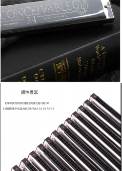 SWAN 天鵝牌 24 孔 高級複音 口琴 12調套裝 Harmonica 一套12個
