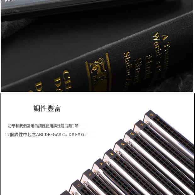 SWAN 天鵝牌 24 孔 高級複音 口琴 12調套裝 Harmonica 一套12個
