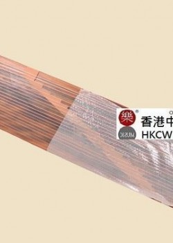 敦煌古箏 雙鶴朝陽 696D