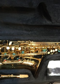 CALVIN SANG CSAS-100 Alto SAXOPHONE 中音降E調 金色