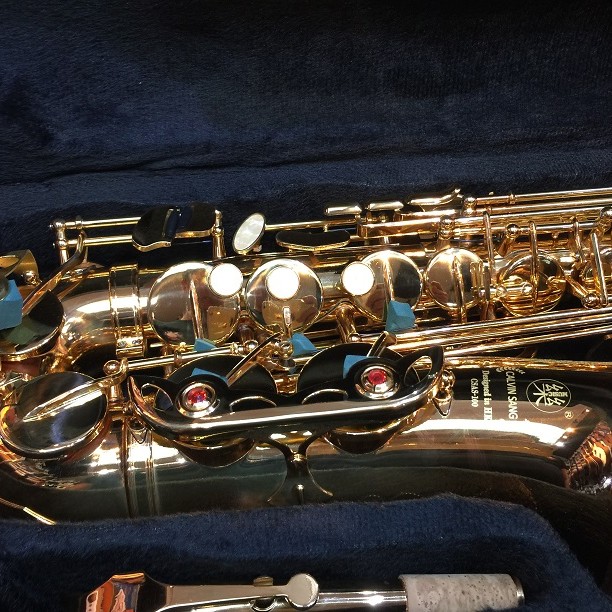 CALVIN SANG CSAS-100 Alto SAXOPHONE 中音降E調 金色