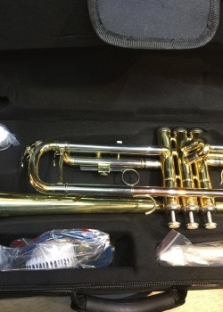 CALVIN SANG CSTR-100 降B調 小號