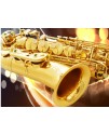 Ottnorth Alto SAXOPHONE 中音降E調   金色