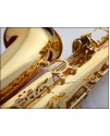 Ottnorth Alto SAXOPHONE 中音降E調   金色