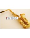 Ottnorth Alto SAXOPHONE 中音降E調   金色