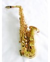 Ottnorth Alto SAXOPHONE 中音降E調   金色
