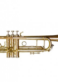 OTTNORTH 降B調 小號 trumpet