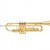 OTTNORTH 降B調 小號 trumpet