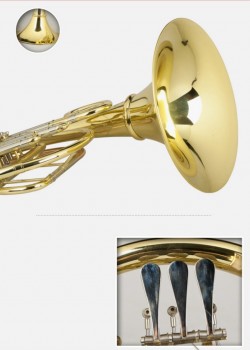 CALVIN SANG CSFH-100 降B調 一體式 四鍵單排 法國號 french horn