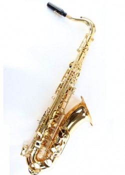 OTTNORTH 降B調 TENOR 金色