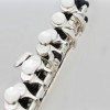 CALVIN SANG CSPO-100 C調 短笛 PICCOLO