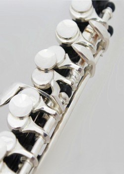 CALVIN SANG CSPO-100 C調 短笛 PICCOLO