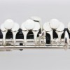 CALVIN SANG CSPO-100 C調 短笛 PICCOLO