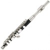 CALVIN SANG CSPO-100 C調 短笛 PICCOLO