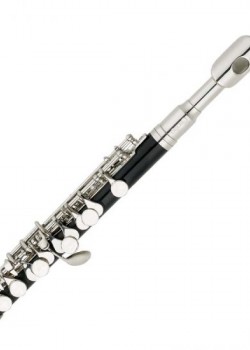 CALVIN SANG CSPO-100 C調 短笛 PICCOLO