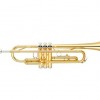 CALVIN SANG CSTR-100 降B調 小號