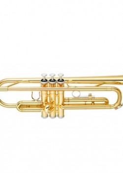 CALVIN SANG CSTR-100 降B調 小號