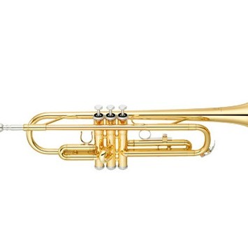 CALVIN SANG CSTR-100 降B調 小號
