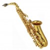 Ottnorth Alto SAXOPHONE 中音降E調   金色