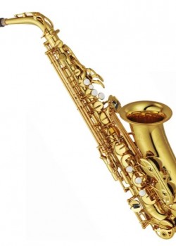 Ottnorth Alto SAXOPHONE 中音降E調   金色