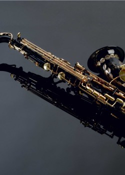SUZUKI Alto SAXOPHONE 中音降E調 黑鎳