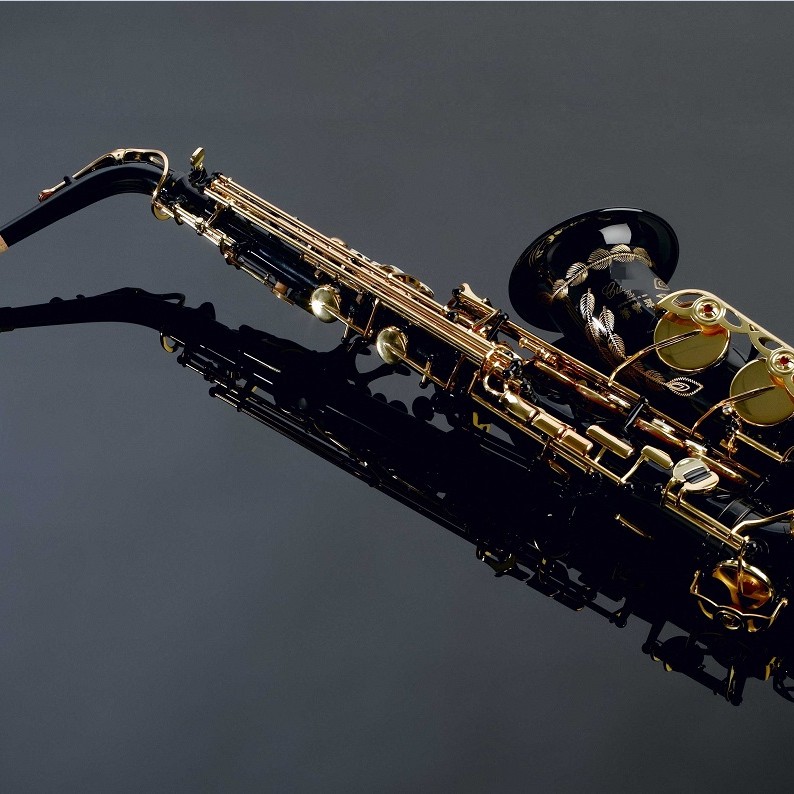 SUZUKI Alto SAXOPHONE 中音降E調 黑鎳