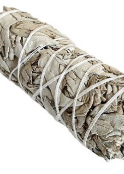 美國天然 加州白鼠尾草 White Sage (10cm 45g）