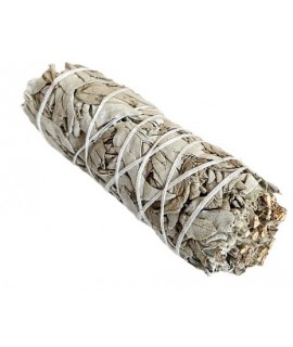 美國天然 加州白鼠尾草 White Sage (10cm 45g) 美國天然 加州白鼠尾草 White Sage (10cm 45g)
