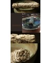 美國天然 加州 藍/白鼠尾草線香/聖木線香/雪松線香 (10g）
