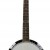 IRIN 六弦 班卓琴 BANJO