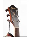 Ibanez V80 ECE Ibanez V80 ECE