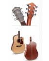Ibanez V74 ECE Ibanez V74 ECE
