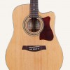 Ibanez V80