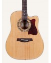Ibanez V80 ECE Ibanez V80 ECE